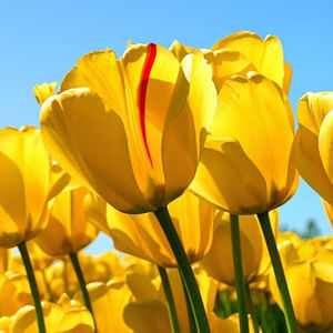 Meet your Posher, Erin